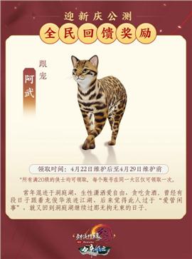 天龙八部私服500级